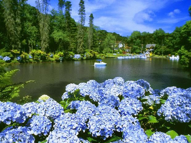 Caminho Das Colinas Gramado Eksteriør billede
