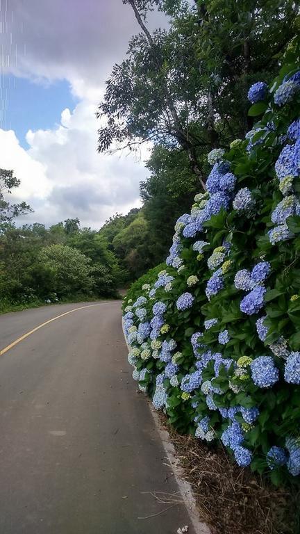 Caminho Das Colinas Gramado Eksteriør billede
